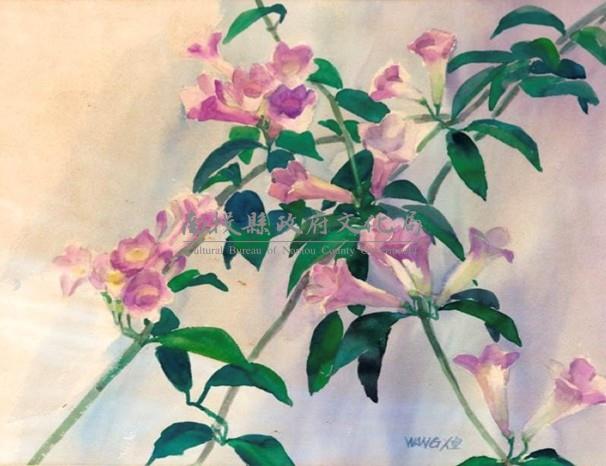 牽牛花藏品圖，第1張