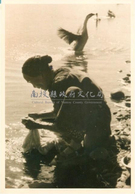 浣洗樂藏品圖，第1張