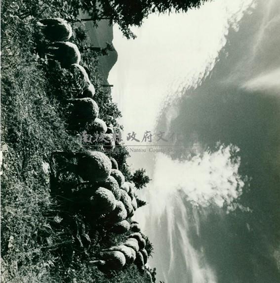 南投風光照片－綿羊（清境農場）藏品圖，第1張