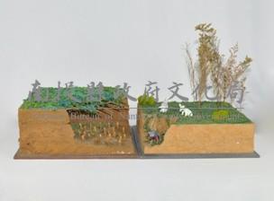 陷阱藏品圖，第1張