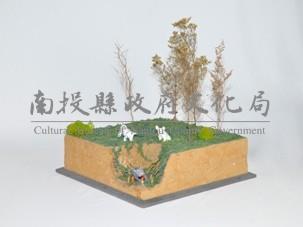 陷阱藏品圖，第2張