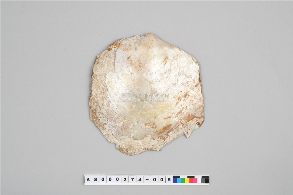 大圖瀏覽