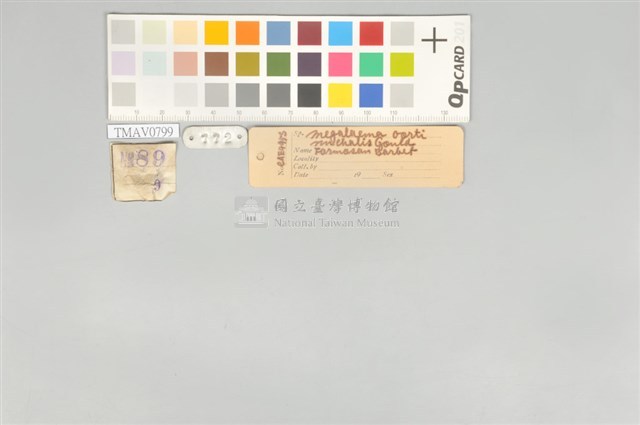 五色鳥藏品圖，第11張