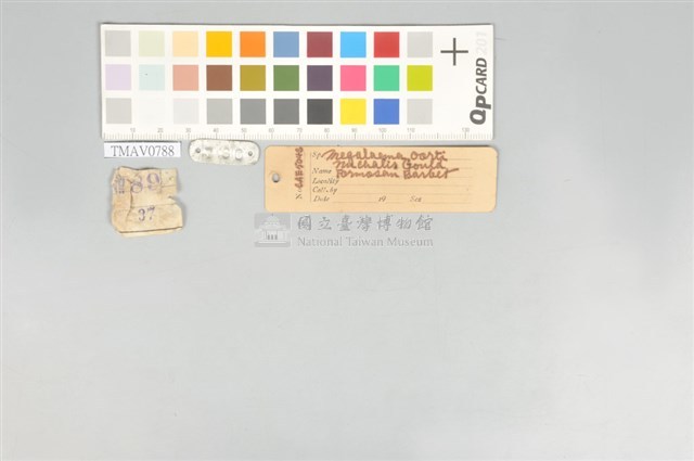 五色鳥藏品圖，第11張