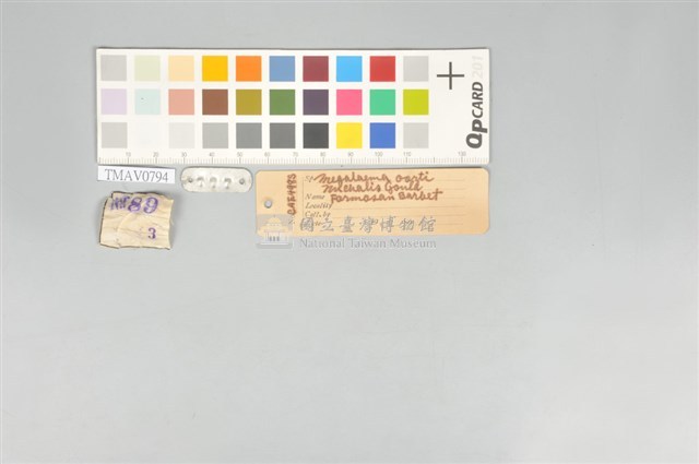 五色鳥藏品圖，第11張