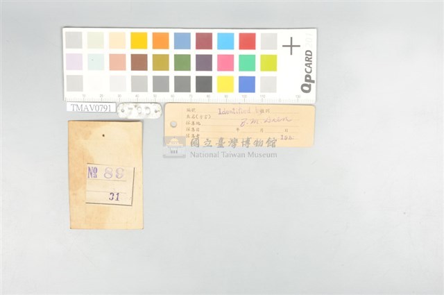 五色鳥藏品圖，第12張