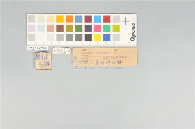 五色鳥藏品圖，第12張