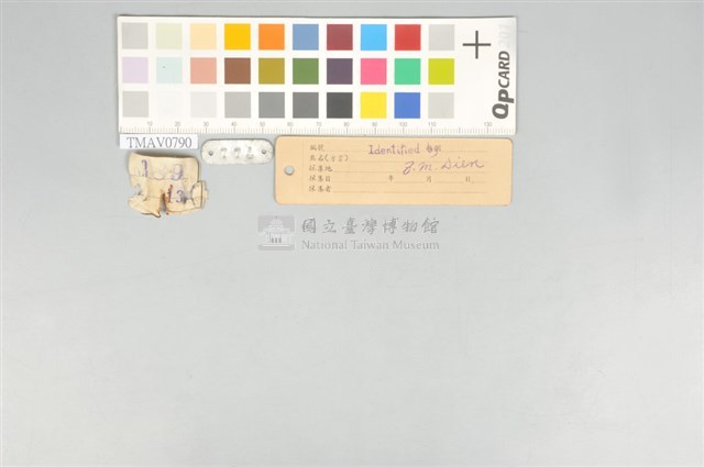 五色鳥藏品圖，第12張