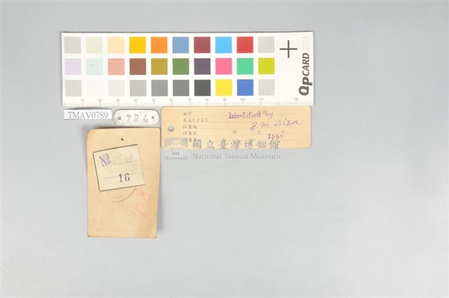 五色鳥藏品圖，第12張