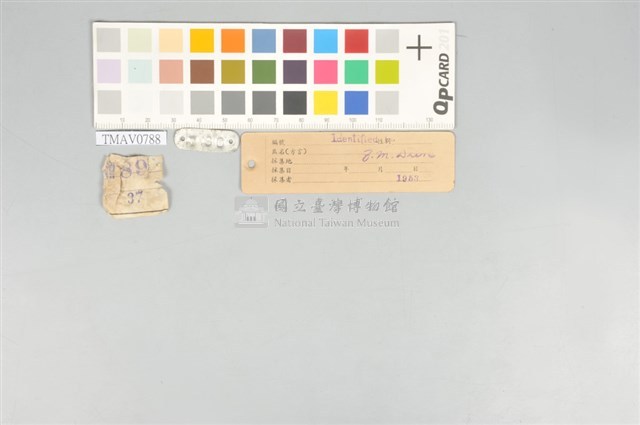 五色鳥藏品圖，第12張