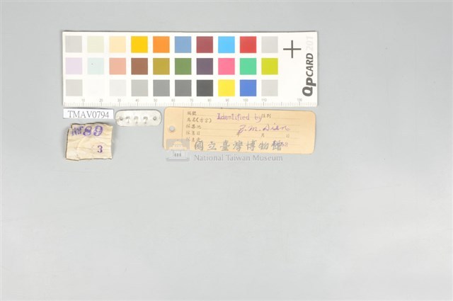 五色鳥藏品圖，第12張