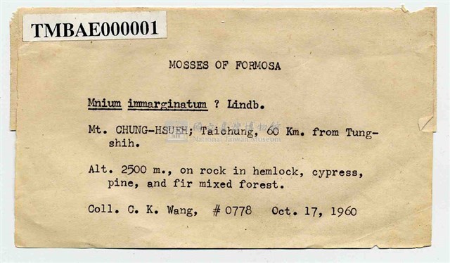 Mnium immarginatum Lindb. Collection Image, Figure 3, Total 12 Figures