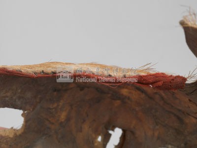 羌頭皮帽藏品圖，第12張