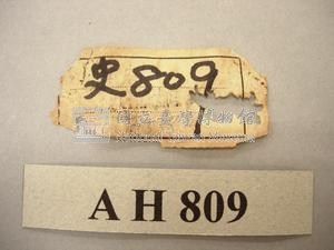 祭事曆板藏品圖，第16張