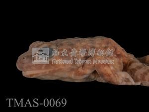 Japanese wrinkled frog Collection Image, Figure 4, Total 13 Figures