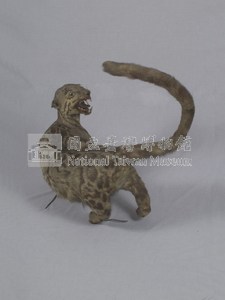 臺灣雲豹藏品圖，第6張