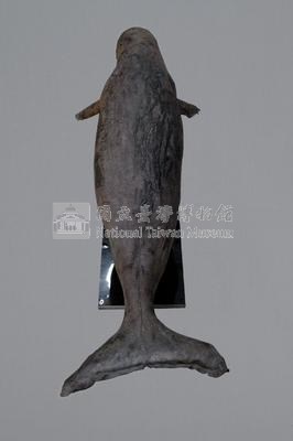 儒艮藏品圖，第6張