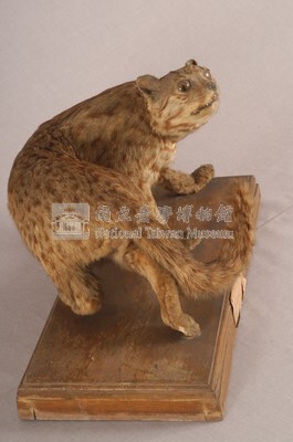 石虎藏品圖，第6張