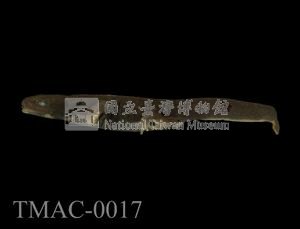 劍尾蠑螈藏品圖，第7張