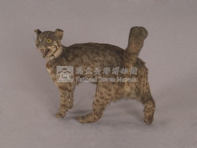 石虎藏品圖，第4張