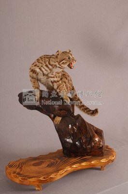 石虎藏品圖，第4張