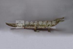 灣鱷藏品圖，第5張