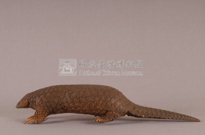 臺灣鯪鯉藏品圖，第5張