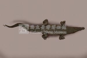 灣鱷藏品圖，第7張