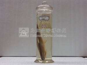 香魚藏品圖，第1張