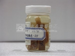 大鱗短額鮃藏品圖，第1張