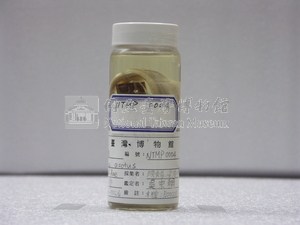 鯰魚藏品圖，第1張