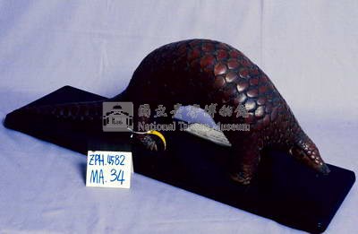 海南穿山甲藏品圖，第2張