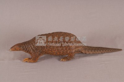 臺灣鯪鯉藏品圖，第3張