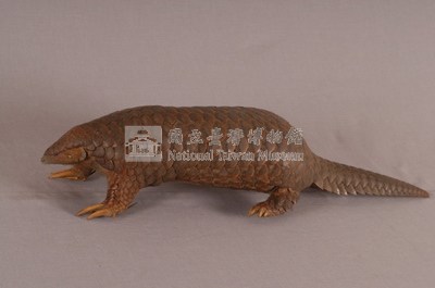 臺灣鯪鯉藏品圖，第3張