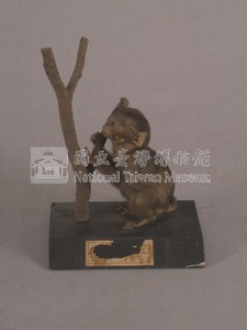 Formosan Rock-monkey Collection Image, Figure 3, Total 15 Figures