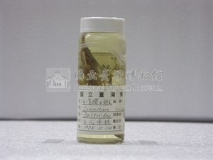 臺灣纓口鰍藏品圖，第2張