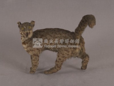 石虎藏品圖，第3張