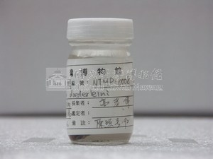稻氏天竺鯛藏品圖，第2張