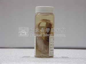 鯰魚藏品圖，第2張