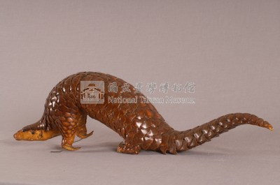 臺灣鯪鯉藏品圖，第3張