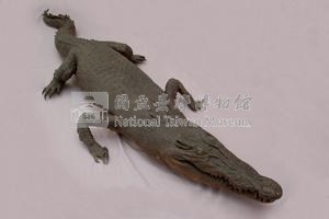 灣鱷藏品圖，第5張