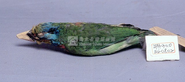 五色鳥藏品圖，第2張