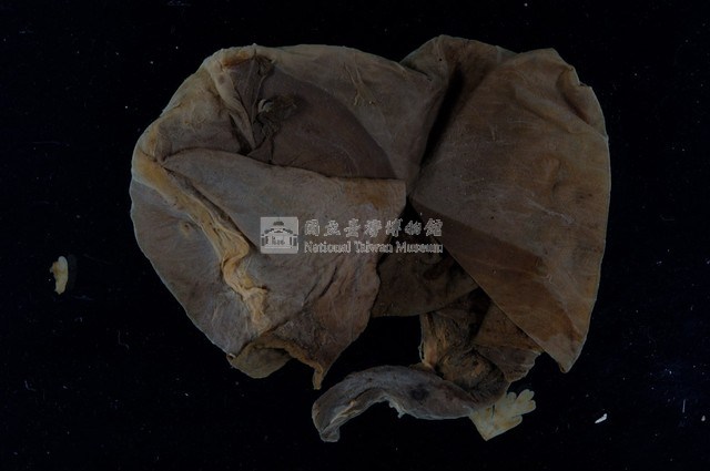 帝雉嗉囊藏品圖，第3張