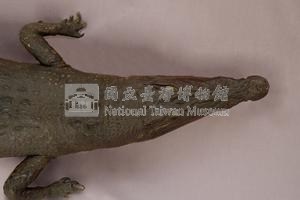 灣鱷藏品圖，第2張