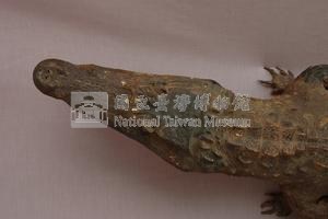 眼鏡凱門鱷藏品圖，第2張
