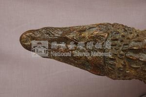 灣鱷藏品圖，第2張
