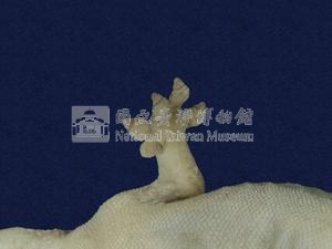 龜山壁虎藏品圖，第3張