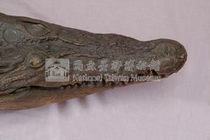 灣鱷藏品圖，第3張
