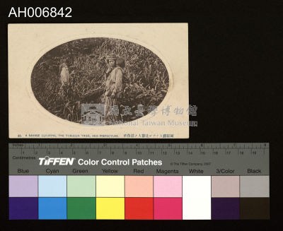 阿緱廳蕃人耕作明信片 (大正年)藏品圖，第2張