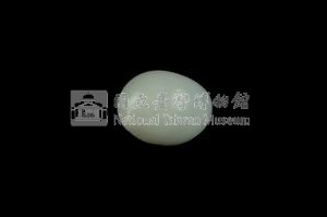 白玉螺藏品圖，第2張